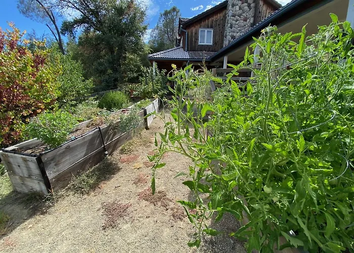 Peaceful & Secluded, Yet Close To Town.