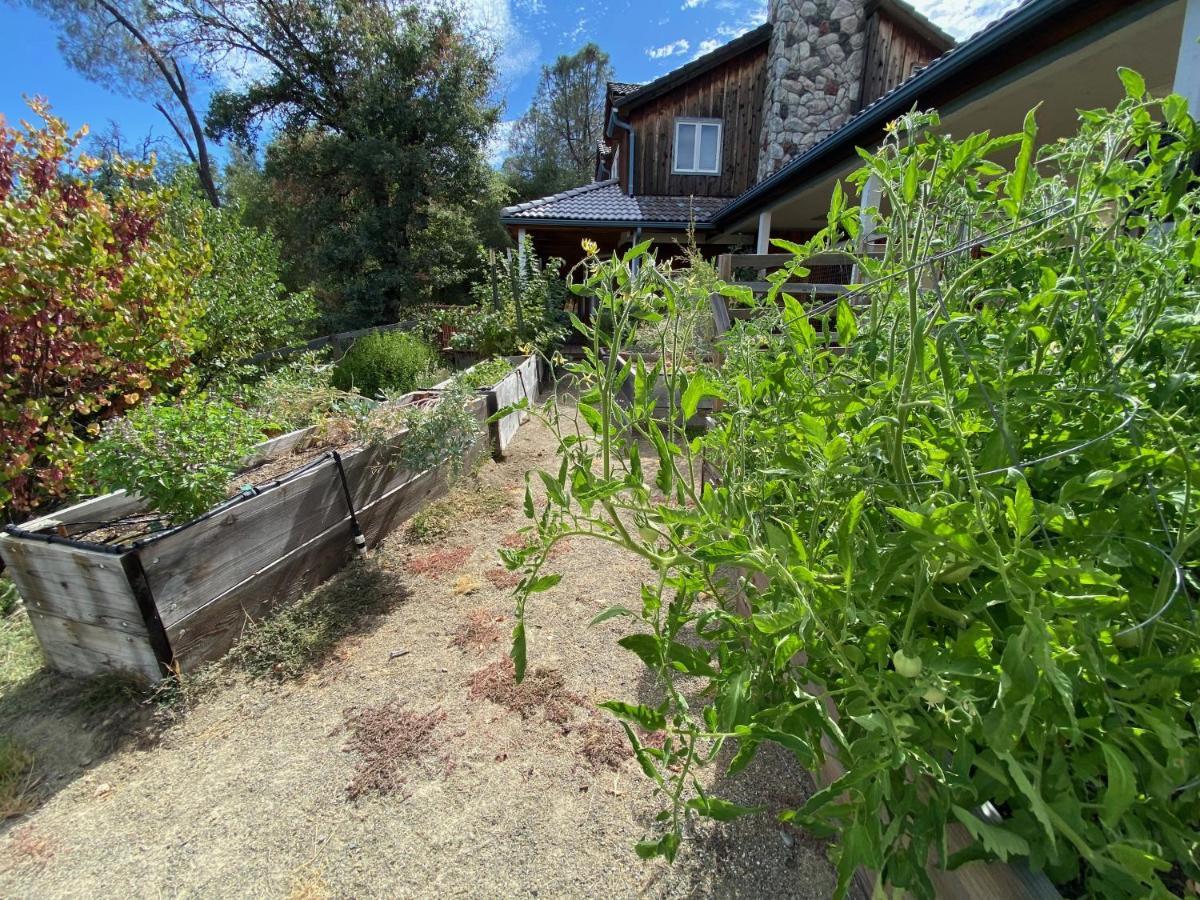 Peaceful & Secluded, Yet Close To Town. Ferienhaus Mariposa